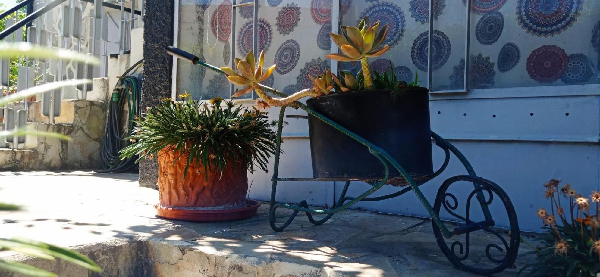 Alojamento Local Os Maias Мирандела Екстериор снимка