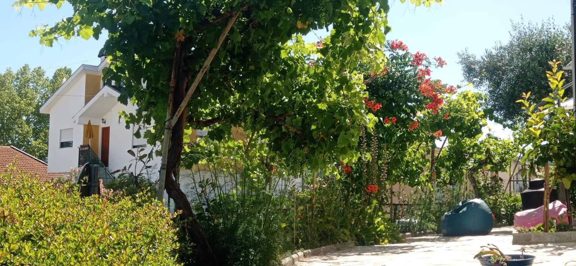 Alojamento Local Os Maias Мирандела Екстериор снимка
